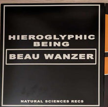 Load image into Gallery viewer, Beau Wanzer x Hieroglyphic Being : 4 Dysfunctional Psychotic Release & Sonic Reprogramming Purposes Only (12")