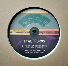 Load image into Gallery viewer, Danny Red, Ital Horns, Conscious Sounds : Live It Up (10")