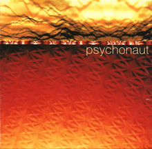 Load image into Gallery viewer, Psychonaut : Vol. 1 (2xLP, Album)