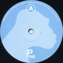 Load image into Gallery viewer, Samuel Onervas : Fugitive E.P. Remixes (2x12", EP)