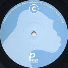 Load image into Gallery viewer, Samuel Onervas : Fugitive E.P. Remixes (2x12", EP)