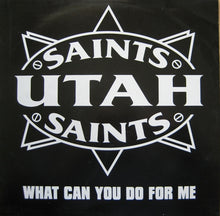 Load image into Gallery viewer, Utah Saints : What Can You Do For Me (12", Single)