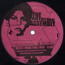 Load image into Gallery viewer, The Rotating Assembly : Natural Aspirations -The 12" Series- (12")
