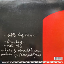 Load image into Gallery viewer, Thomas Fehlmann : Little Big Horn (12")