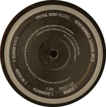 Load image into Gallery viewer, Peter Grummich : Searoom (12")