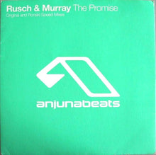 Load image into Gallery viewer, Rusch & Murray : The Promise (12")