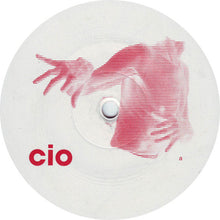 Load image into Gallery viewer, Cio : Fall (12")