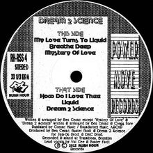 Load image into Gallery viewer, Dream 2 Science : Dream 2 Science (LP, Album, RP)