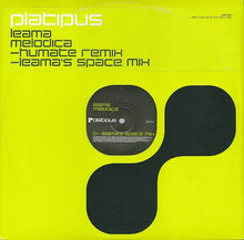 Load image into Gallery viewer, Leama : Melodica (12", 2/2)