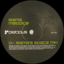 Load image into Gallery viewer, Leama : Melodica (12", 2/2)