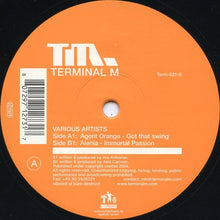Load image into Gallery viewer, Agent Orange (4) / Alenia : Got That Swing / Immortal Passion (12")