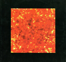 Load image into Gallery viewer, DJ Sneak : You Can't Hide From Your Bud (12")