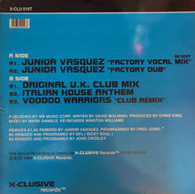 Load image into Gallery viewer, Gwen Dickey & K.W.S. : Ain't Nobody (Loves Me Better) (12", Single)