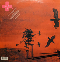 Load image into Gallery viewer, Maddox* & Kaye* : Tales From The Krypt (12")