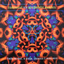 Load image into Gallery viewer, Various : Trancentral Six Psychedelic Moments (2xLP, Comp)
