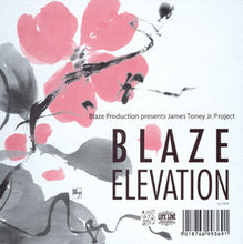Load image into Gallery viewer, Blaze Presents James Toney Jr. Project : Elevation (12")