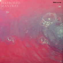 Load image into Gallery viewer, Water Borders : Harbored Mantras (LP, Album)