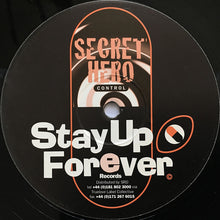 Load image into Gallery viewer, Secret Hero : Control (12")