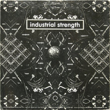 Load image into Gallery viewer, Laura Grabb : Untitled (12")