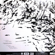 Load image into Gallery viewer, MAS 2008 : Hypophysika (12")