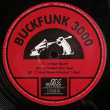 Load image into Gallery viewer, Buckfunk 3000 : 2 Much Booty (12")