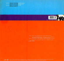 Load image into Gallery viewer, Curiosity : Hang On In There Baby (12")