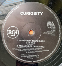 Load image into Gallery viewer, Curiosity : Hang On In There Baby (12")