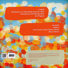 Load image into Gallery viewer, Balaphonic : Resolution Revolutions (12", MiniAlbum)