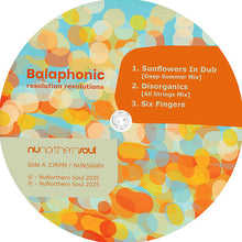 Load image into Gallery viewer, Balaphonic : Resolution Revolutions (12", MiniAlbum)