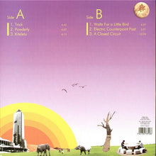 Load image into Gallery viewer, Rainstick Orchestra : The Floating Glass Key In The Sky (LP, Album)