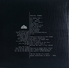 Load image into Gallery viewer, Chris Brann : Deep Fall (2xLP)