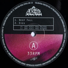 Load image into Gallery viewer, Chris Brann : Deep Fall (2xLP)