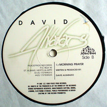Load image into Gallery viewer, David Alvarado : Ascension (2x12")