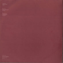 Load image into Gallery viewer, Troubleshooter : Disaster Recovery EP (12", EP)