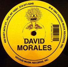 Load image into Gallery viewer, First Choice Featuring Rochelle Fleming : Love Thang (Remixed By David Morales) (12")