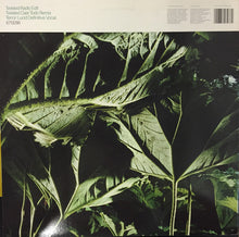 Load image into Gallery viewer, Fused : Twisted (12")