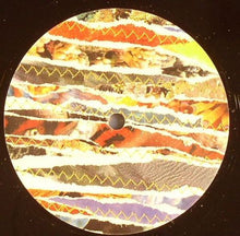 Load image into Gallery viewer, Wattville : We Jostle (12")