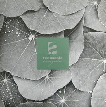 Load image into Gallery viewer, Technasia : Evergreen (12")