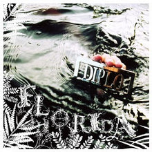 Load image into Gallery viewer, Diplo : Florida (2xLP, Album)