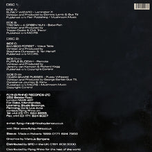 Load image into Gallery viewer, Various : Fifth Flight - Mælstrøm (2x12", Comp)