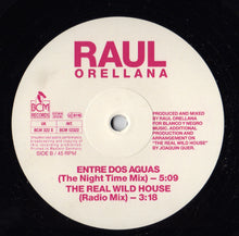 Load image into Gallery viewer, Raul Orellana* : The Real Wild House (12", Single)
