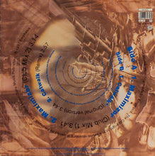 Load image into Gallery viewer, T99 : Maximizor (12", Maxi)