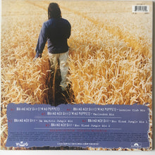 Load image into Gallery viewer, Darkman : Brand New Day (12")