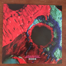 Load image into Gallery viewer, Animal Collective : Applesauce (10", Single)