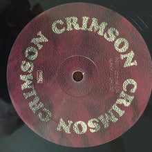 Load image into Gallery viewer, Animal Collective : Applesauce (10", Single)