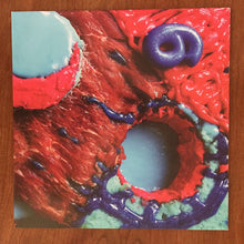 Load image into Gallery viewer, Animal Collective : Applesauce (10", Single)