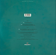 Load image into Gallery viewer, Sash! : Encore Une Fois (12", Single)