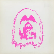 Load image into Gallery viewer, Flying Rhythms : Doragon Balls (12")