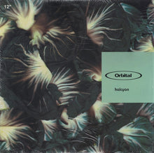 Load image into Gallery viewer, Orbital : Halcyon (12")