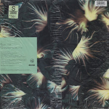 Load image into Gallery viewer, Orbital : Halcyon (12")